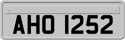 AHO1252