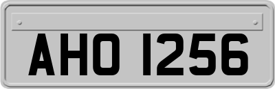 AHO1256