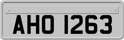 AHO1263