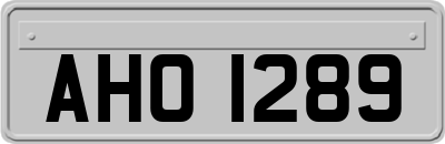 AHO1289