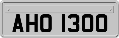 AHO1300