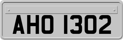 AHO1302