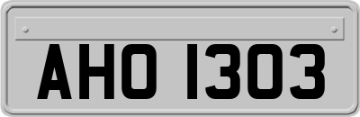 AHO1303