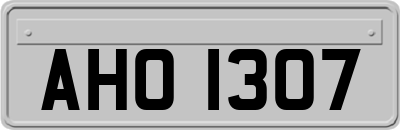 AHO1307