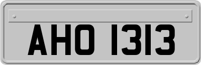 AHO1313