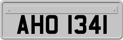 AHO1341