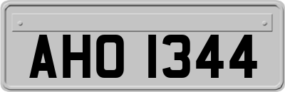 AHO1344