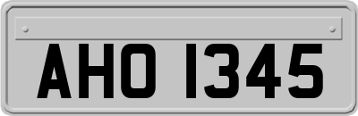 AHO1345