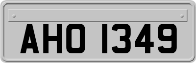 AHO1349