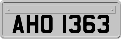 AHO1363