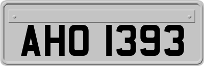 AHO1393
