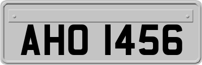 AHO1456