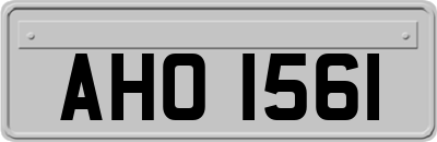 AHO1561