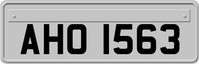 AHO1563