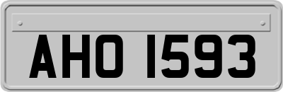 AHO1593