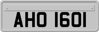 AHO1601