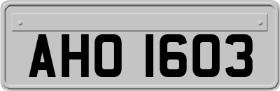 AHO1603