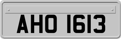 AHO1613