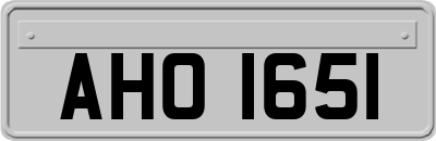 AHO1651