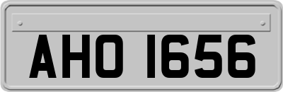 AHO1656