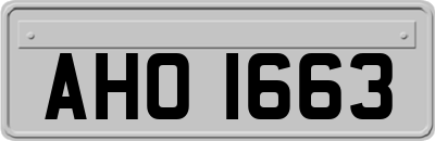 AHO1663