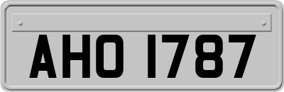 AHO1787