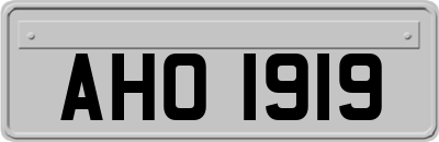 AHO1919
