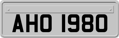 AHO1980