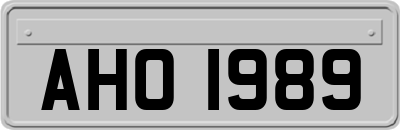 AHO1989