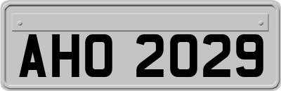 AHO2029