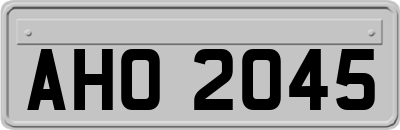 AHO2045