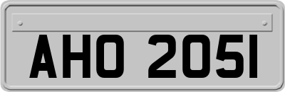 AHO2051