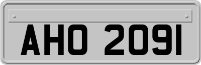 AHO2091
