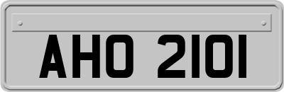 AHO2101