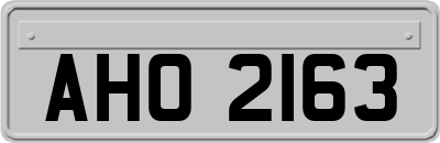 AHO2163