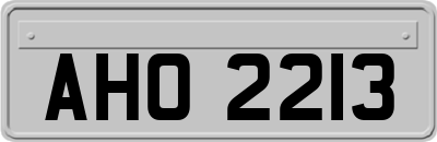 AHO2213