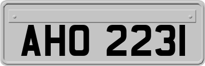 AHO2231
