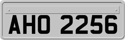AHO2256