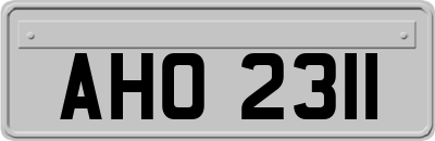 AHO2311