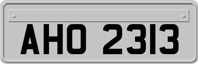AHO2313