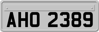 AHO2389