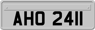 AHO2411