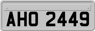 AHO2449
