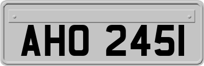 AHO2451