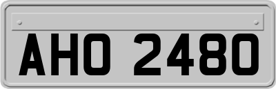 AHO2480