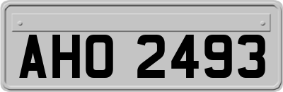 AHO2493