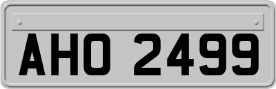 AHO2499