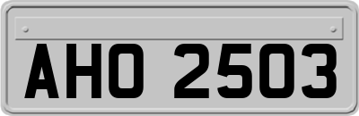 AHO2503