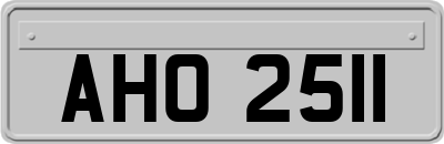 AHO2511