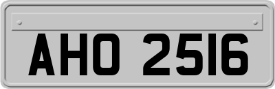 AHO2516